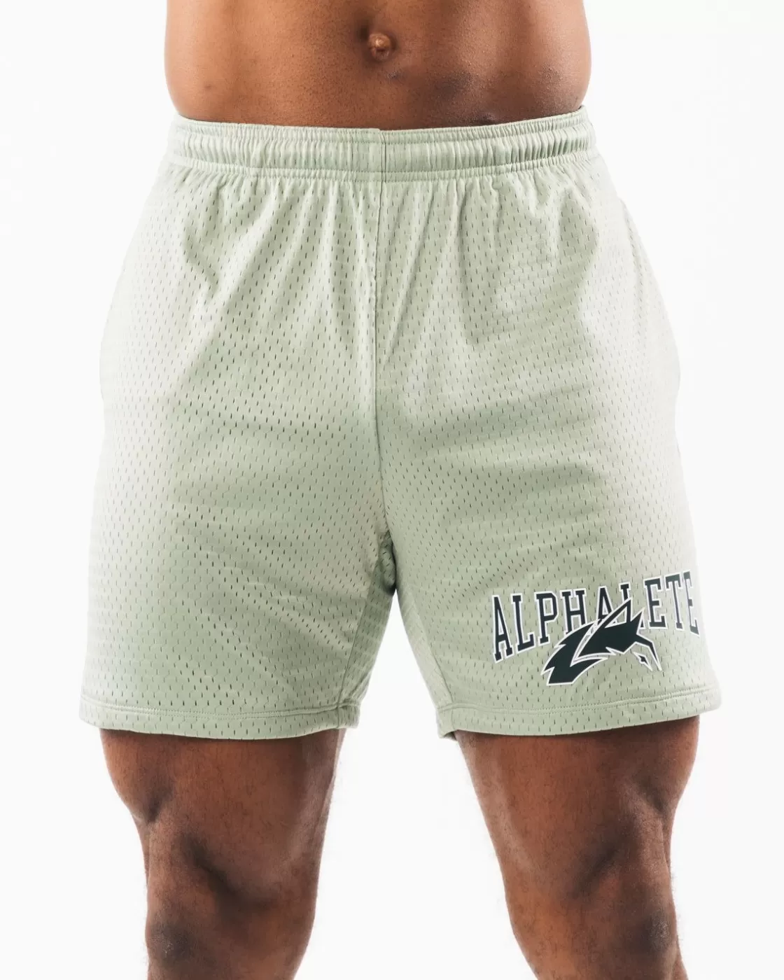 Store Wolf Head Mesh Short 6" Men Shorts