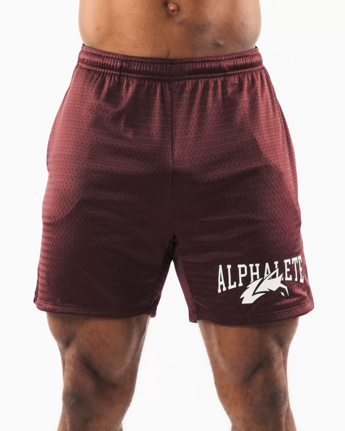 Online Wolf Head Mesh Short 6" Men Shorts